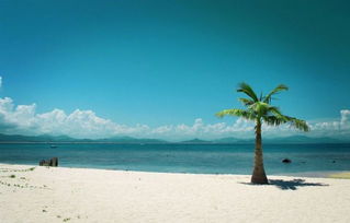 海南 新型旅游產(chǎn)品重環(huán)保 旅行社發(fā)展謀升級